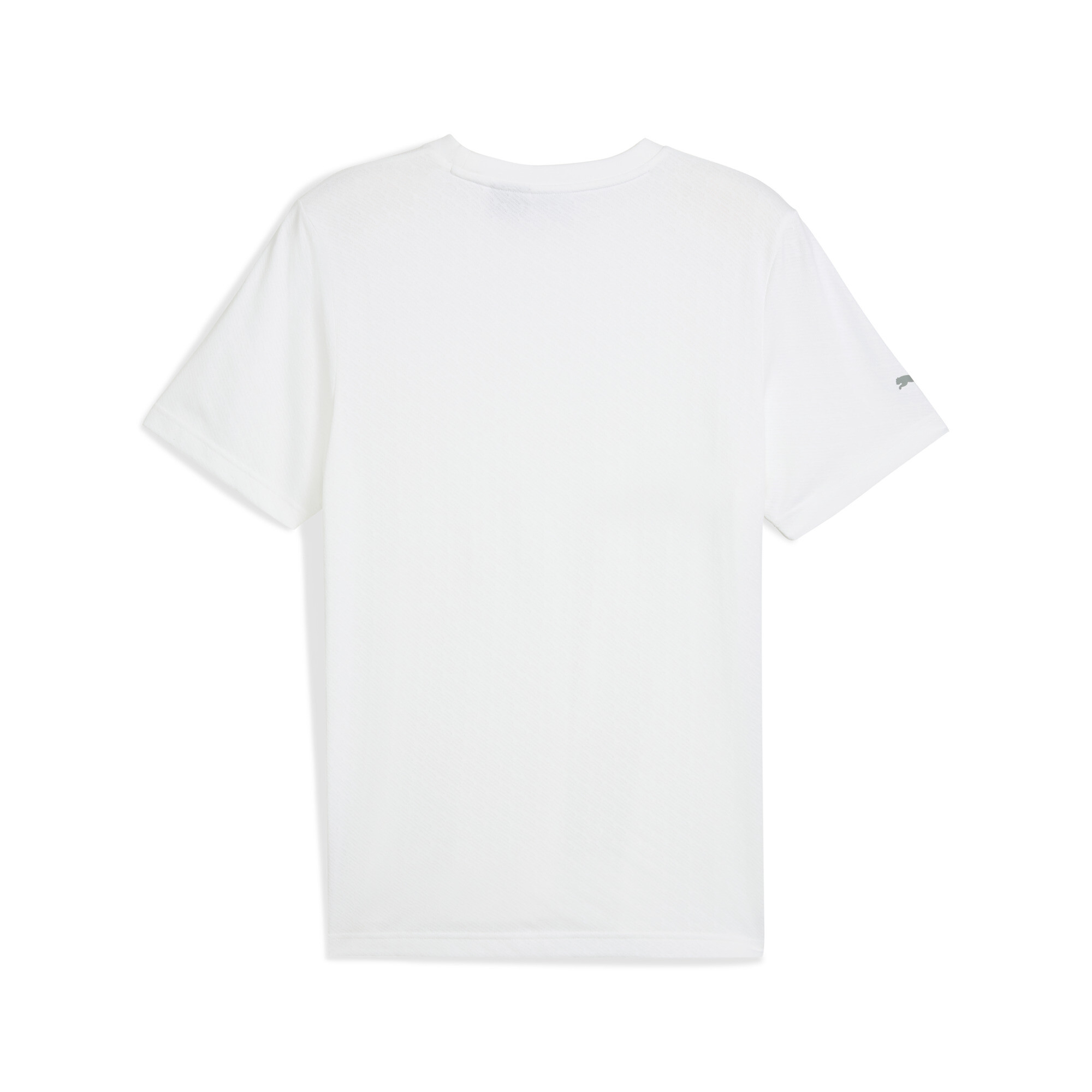 Puma BMW M Motorsport Jacquard Tee Men