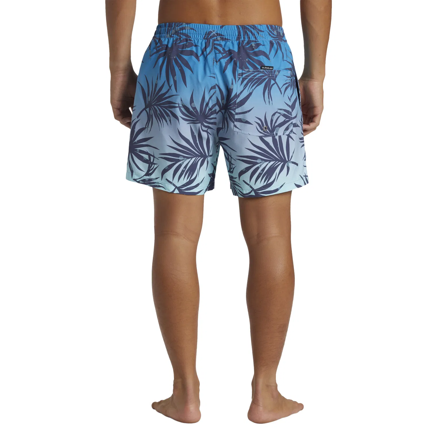 Quiksilver Everyday Mix Volley 15 Kişilər üçün çimərlik şortları