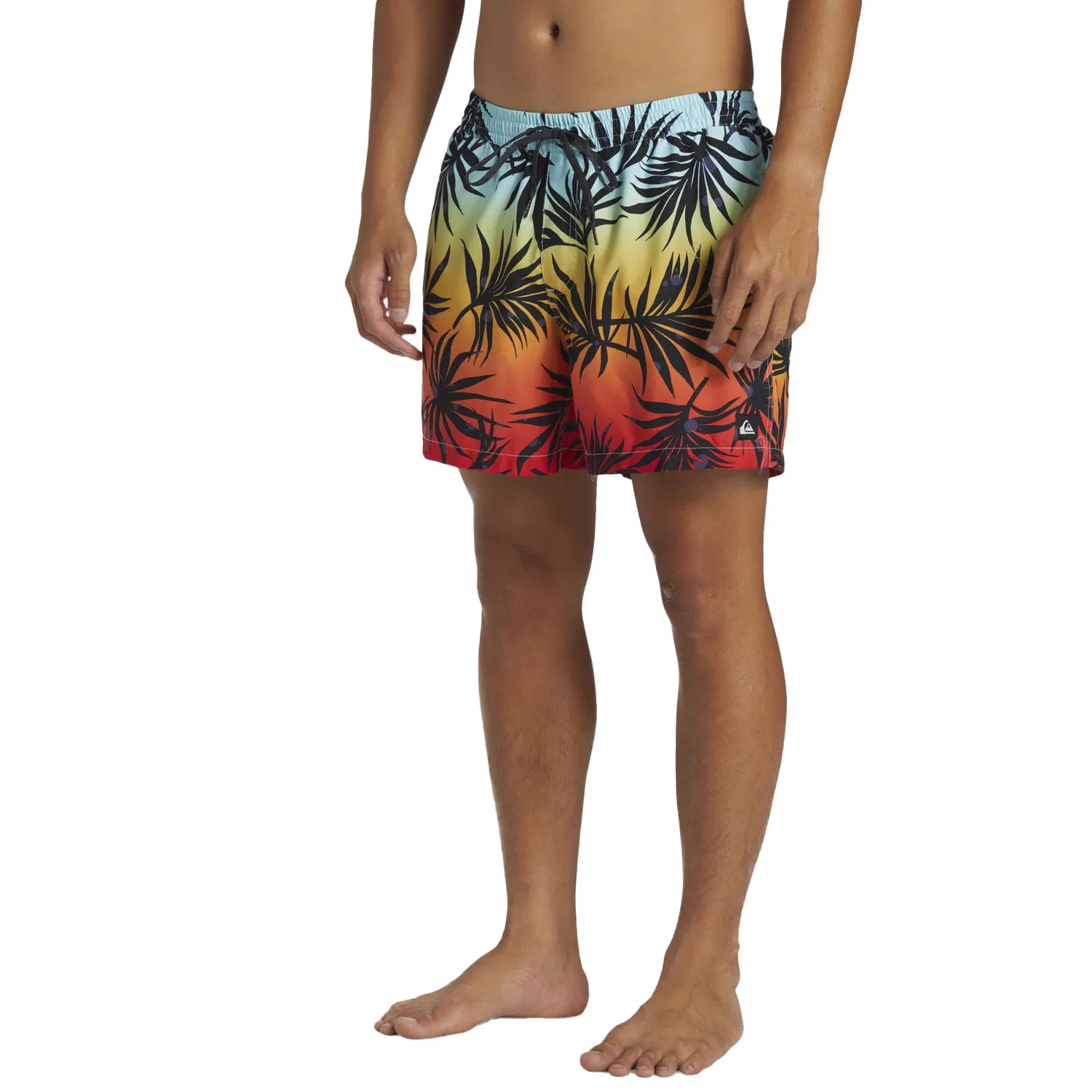 Quiksilver Everyday Mix Volley 15 Kişilər üçün çimərlik şortları