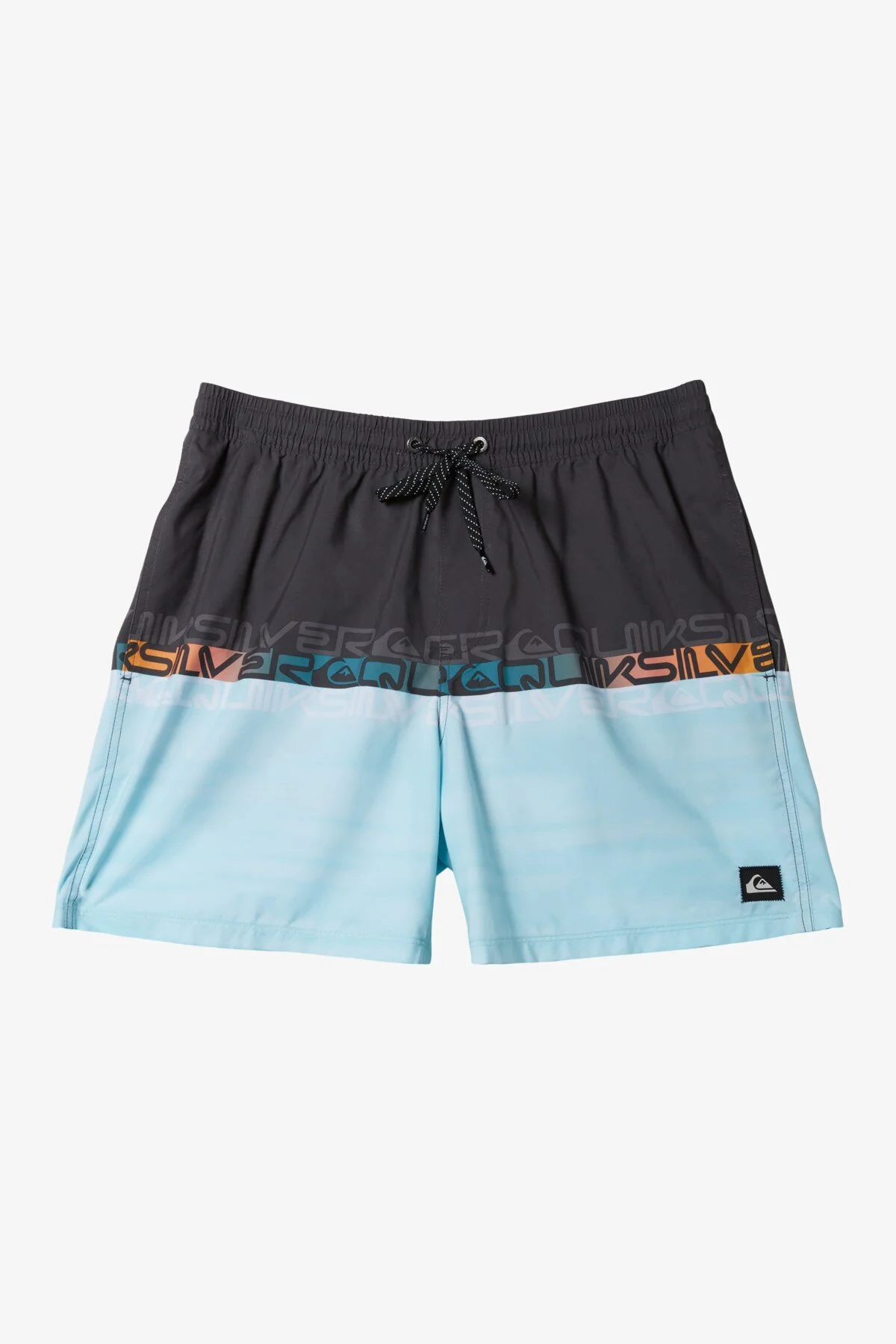 Quiksilver Everyday Worldblock Swim shorts Men's