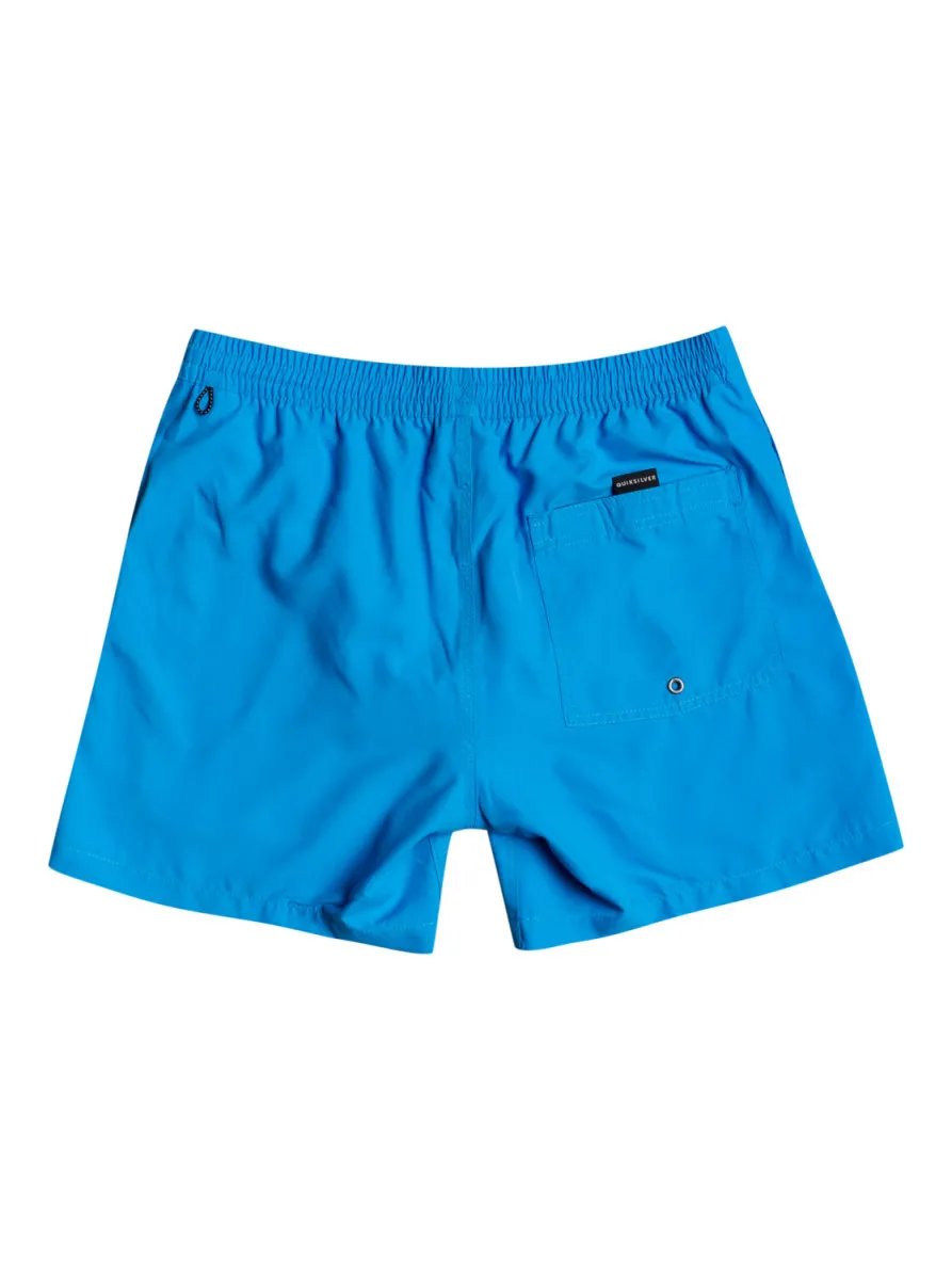 Quiksilver Everyday Volley Uşaqlar üçün çimərlik şortları