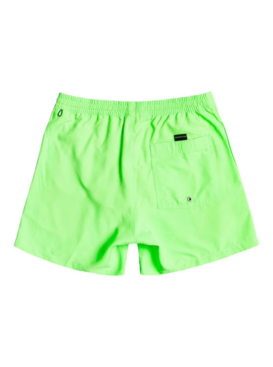 Quiksilver Everyday Volley Uşaqlar üçün çimərlik şortları