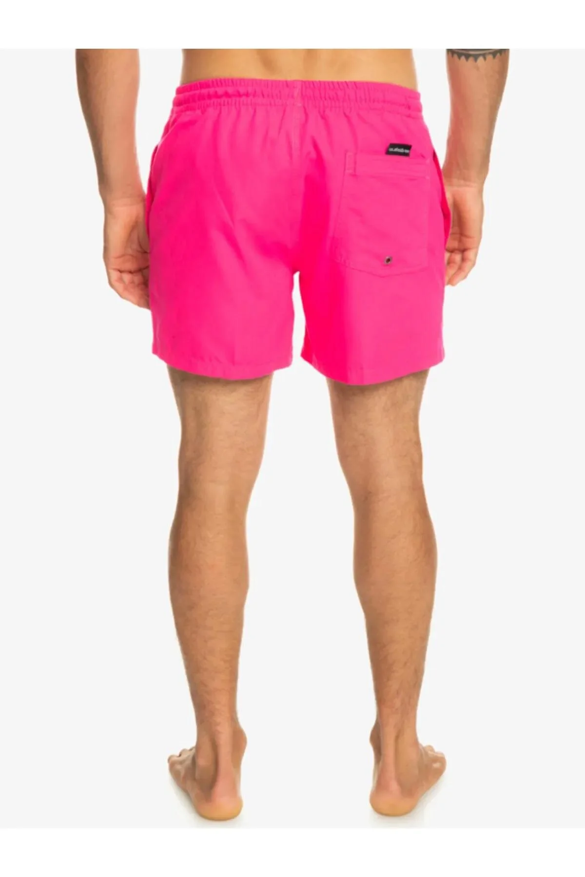 Quiksilver Everyday 15 M Jamv5 Swim shorts Men's